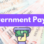 Government Payout