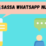 SASSA WhatsApp Number