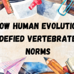 How Human Evolution Defied Vertebrate Norms